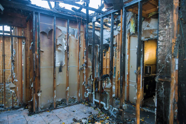 Professional Fire Damage Removal technician working in Vaiden, MS